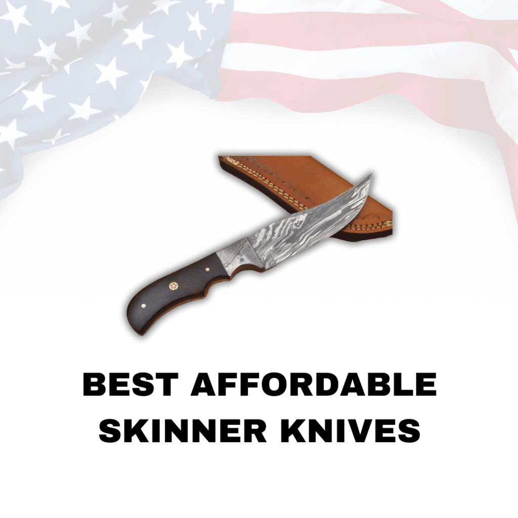 Best Affordable Skinner Knives